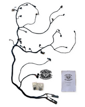 Load image into Gallery viewer, Stage ONE LS1 Standalone Harness