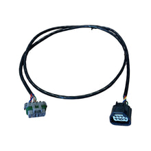 Load image into Gallery viewer, VZ FBW LS1 TAC Module to Pedal Harness for Standalone Harness