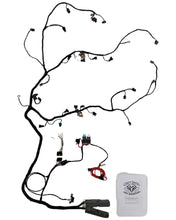 Load image into Gallery viewer, Stage TWO LS1 Standalone Harness