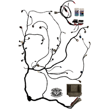 Load image into Gallery viewer, Nissan Patrol to LS1 Conversion Plug In Harness GU S1-3 Y61